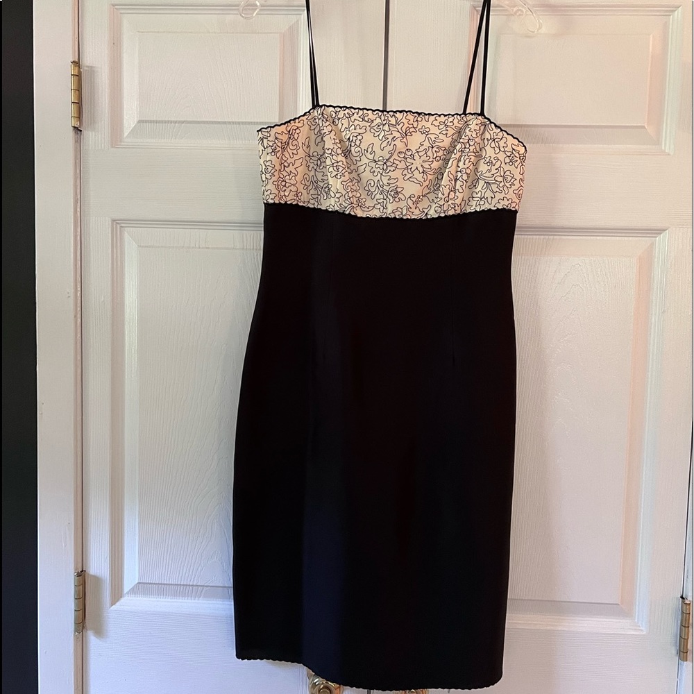 Anne Taylor dress